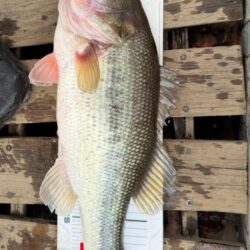 津久井湖初ボート