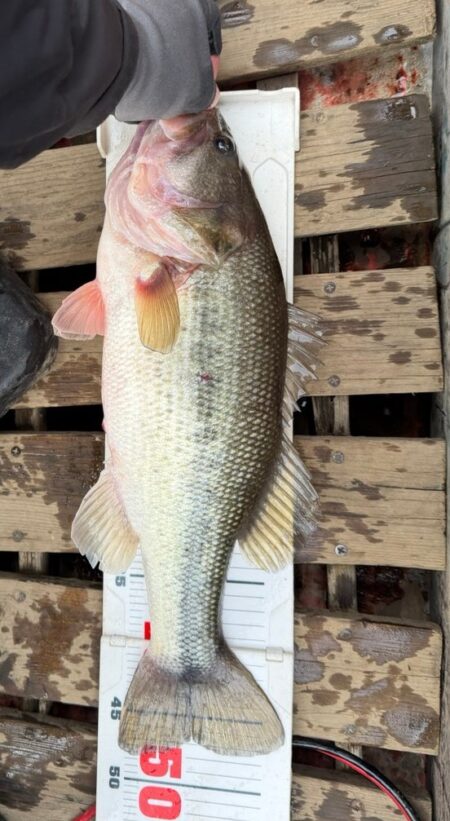 津久井湖初ボート