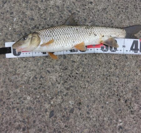 暖かい午後の昼間に