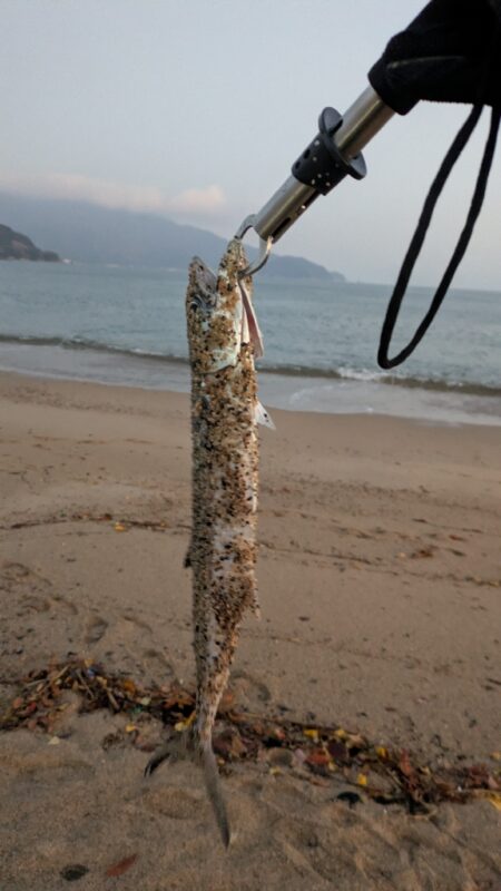 渋い中でもなんとか・・・