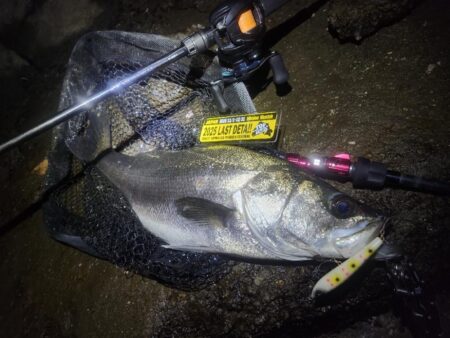 ナイトチヌトップ……のはずが…