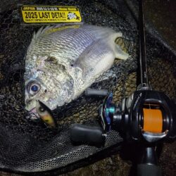 今度こそナイトチヌトップ!!