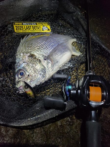 今度こそナイトチヌトップ!!