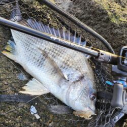 年末冬チニング