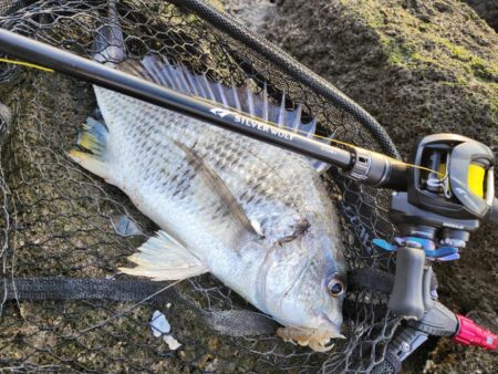 年末冬チニング