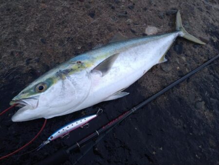 クリスマスプレゼント