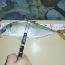 ２週間ぶりの淡路島🎣