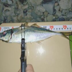 フロートアジング新場所調査