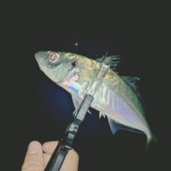 2025年フロートアジング納め