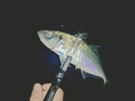 2025年フロートアジング納め