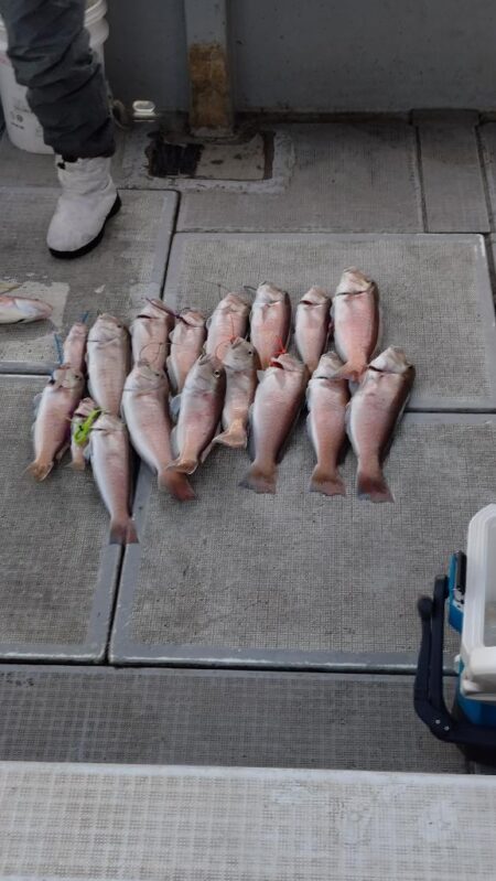 釣り納めアマダイ！！