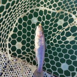 恒例の年末忘年釣行!