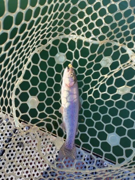 恒例の年末忘年釣行!