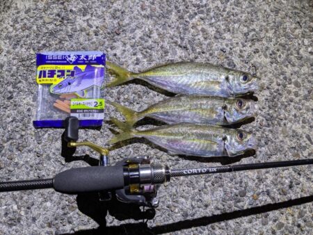 初投稿!アジング釣行