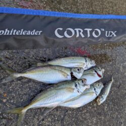 年内最後の釣行