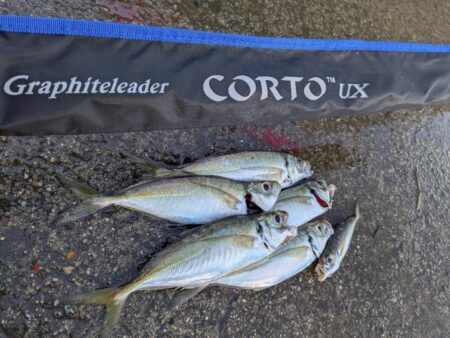 年内最後の釣行