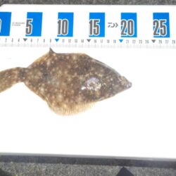 投げ釣り第2戦〜平磯海釣り公園〜