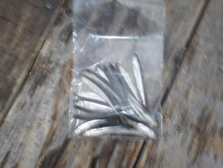 ワカサギ第2戦〜佐仲ダム・つ抜け〜