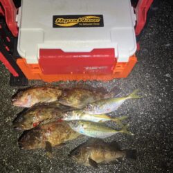 アジング、メバリング