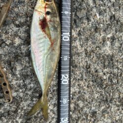 エサには負けます