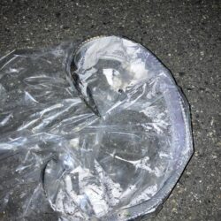 白杉ライトショアジギング