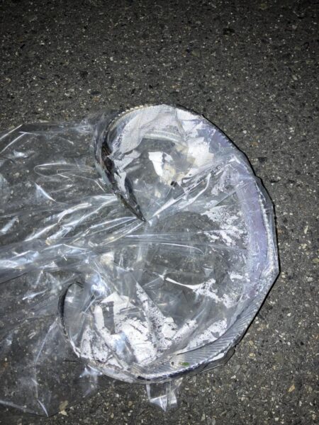 白杉ライトショアジギング