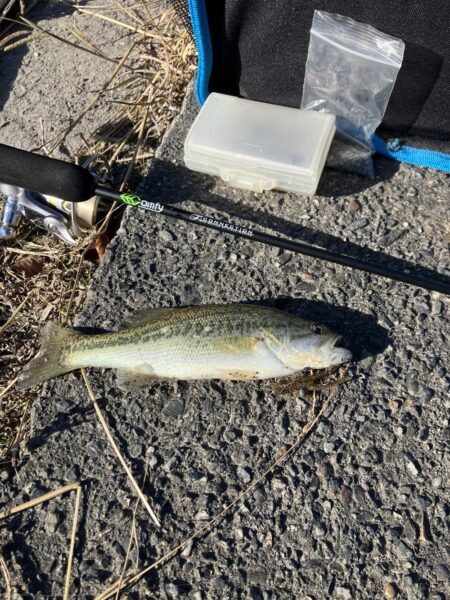 北湖漁港小バス祭り