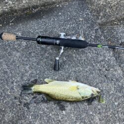 続 湖西漁港小バス祭り