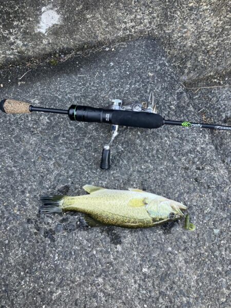 続 湖西漁港小バス祭り