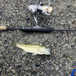 北湖西岸小バス祭り