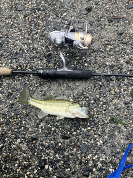 北湖西岸小バス祭り