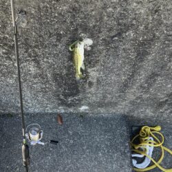 湖西ランガン続