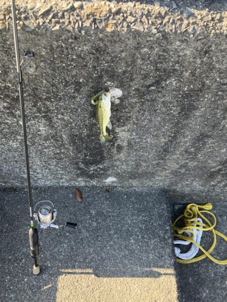 湖西ランガン続