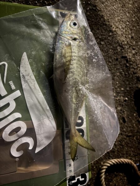 釣り納まらず…