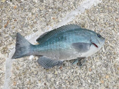 デジタルデトックス釣行