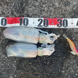 2025 佐渡ヶ島エギング Vol.62【…