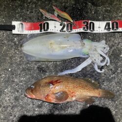 2025 佐渡ヶ島エギング Vol.63【12月2日】