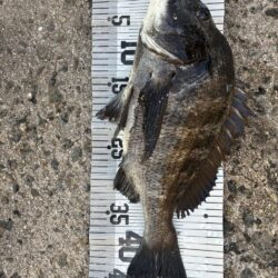 イチノ兄弟、釣果！