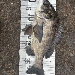 イチノ兄弟、釣果！