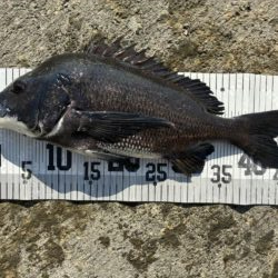 イチノ兄弟、釣果！