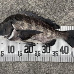 イチノ兄弟、釣果！