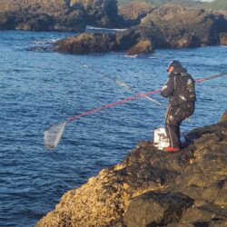 和歌山串本でグレ釣り