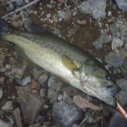 一庫ダム釣行　12月8日