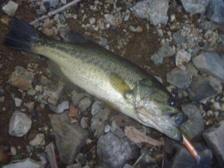 一庫ダム釣行　12月8日