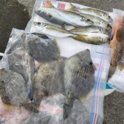 リベンジならずも、連日のカワハギゲット