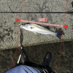 ガイドが凍るほどの極寒でも釣れる時は釣れる！