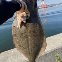 ショアジギング