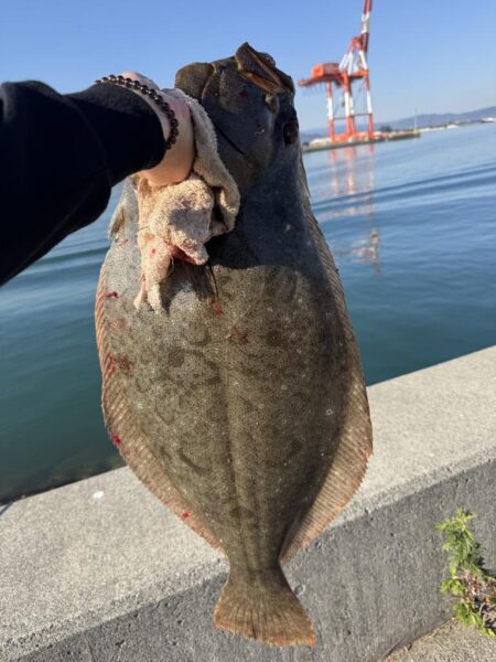 ショアジギング