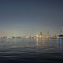 年末最後の釣行