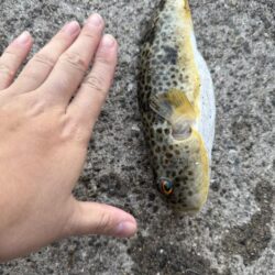 娘とちょい投げ釣り!